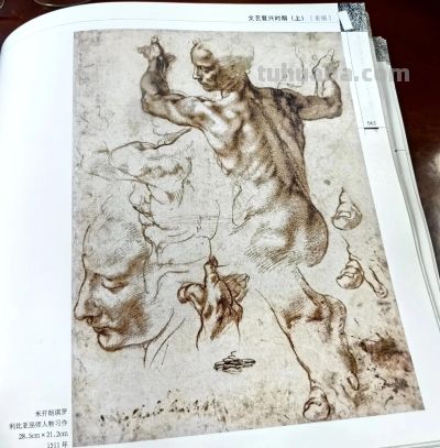 文艺复兴时期画坛巨匠达芬奇等人的部分素描作品 - 今日头条 文艺复兴时期画坛巨匠达芬奇等人的部分素描作品 - 图画吧TUHUABA