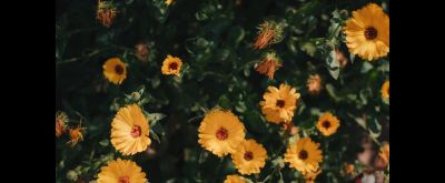 从入门到进阶|松下G97能获得怎样的摄影乐趣 #摄影器材 - 今日头条 从入门到进阶|松下G97能获得怎样的摄影乐趣 #摄影器材 - 图画吧TUHUABA