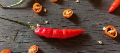 家庭种菜4个高阶技巧！低本高产还省心，新手也能当种植大神 - 图画吧TUHUABA