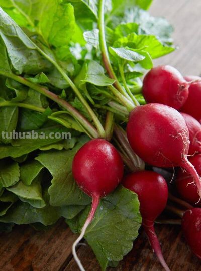 立秋后种什么菜最合适?6种适合家庭种植的蔬菜 - 今日头条 立秋后种什么菜最合适?6种适合家庭种植的蔬菜 - 图画吧TUHUABA