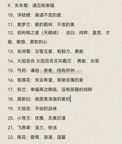 100种花语大全，你们都知道吗？ - 图画吧TUHUABA