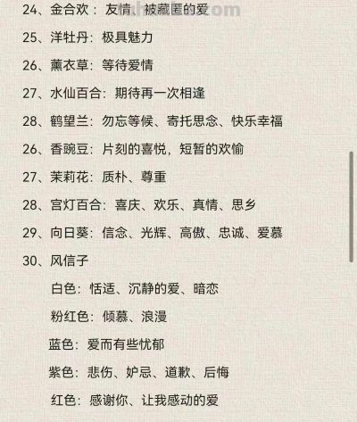 100种花语大全，你们都知道吗？ - 图画吧TUHUABA