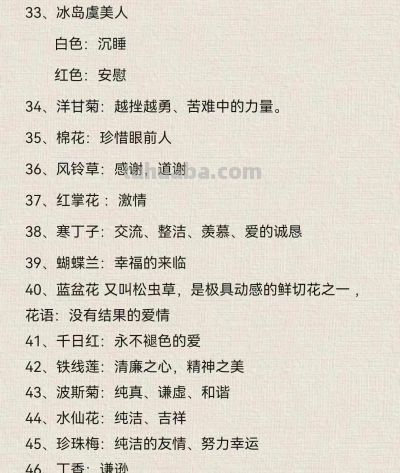 100种花语大全，你们都知道吗？ - 图画吧TUHUABA