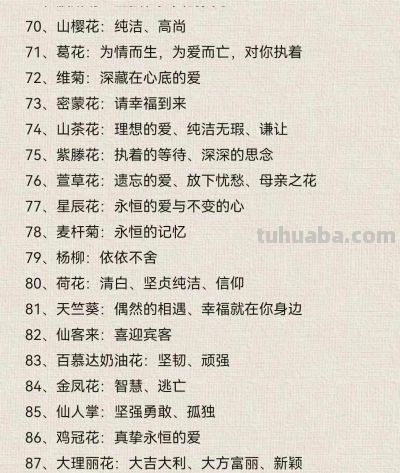 100种花语大全，你们都知道吗？ - 图画吧TUHUABA