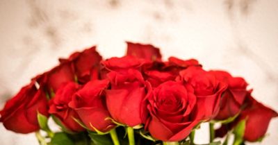 别瞎送玫瑰！不同颜色+朵数花语大全，送错真的超尴尬 - 今日头条