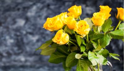 别瞎送玫瑰!不同颜色+朵数花语大全,送错真的超尴尬 - 今日头条 别瞎送玫瑰!不同颜色+朵数花语大全,送错真的超尴尬 - 图画吧TUHUABA