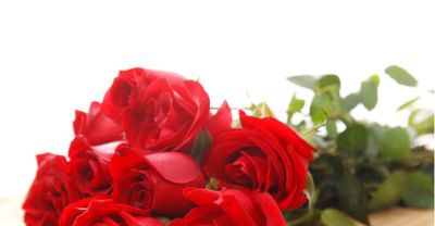 别瞎送玫瑰!不同颜色+朵数花语大全,送错真的超尴尬 - 今日头条 别瞎送玫瑰!不同颜色+朵数花语大全,送错真的超尴尬 - 图画吧TUHUABA