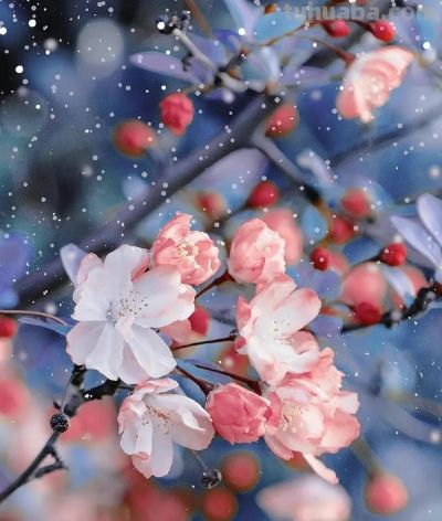 鲜花壁纸|我永远爱花，花热烈而绚烂 - 图画吧TUHUABA