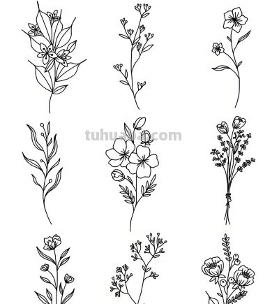 想学画画没人教？老师教画花卉基础线稿，0基础看完也能画出来 - 图画吧TUHUABA