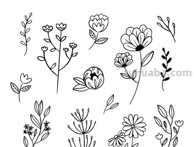 想学画画没人教？老师教画花卉基础线稿，0基础看完也能画出来 - 图画吧TUHUABA