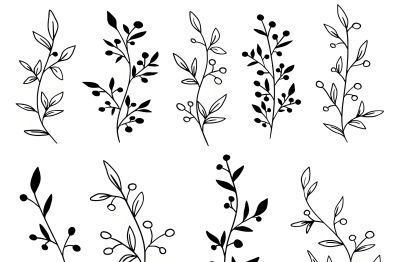 想学画画没人教？老师教画花卉基础线稿，0基础看完也能画出来 - 图画吧TUHUABA