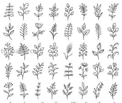 想学画画没人教？老师教画花卉基础线稿，0基础看完也能画出来 - 图画吧TUHUABA