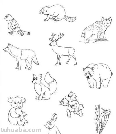 够你画10年了！2000个动物简笔画线稿，收藏备用 - 图画吧TUHUABA