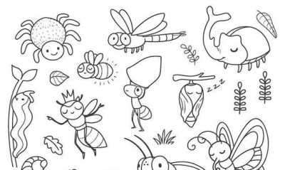 够你画10年了！2000个动物简笔画线稿，收藏备用 - 图画吧TUHUABA