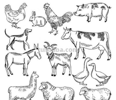 够你画10年了！2000个动物简笔画线稿，收藏备用 - 图画吧TUHUABA