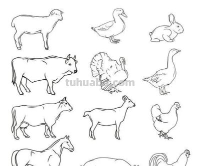 够你画10年了！2000个动物简笔画线稿，收藏备用 - 图画吧TUHUABA
