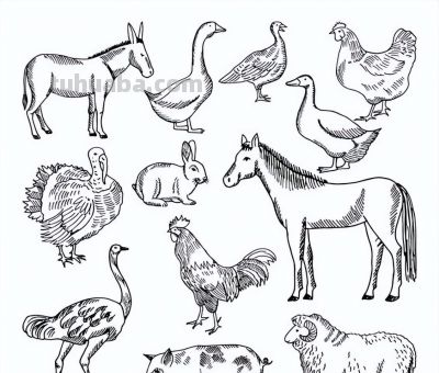 够你画10年了！2000个动物简笔画线稿，收藏备用 - 图画吧TUHUABA