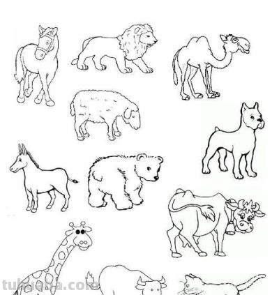 够你画10年了！2000个动物简笔画线稿，收藏备用 - 图画吧TUHUABA