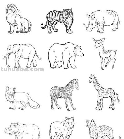 够你画10年了！2000个动物简笔画线稿，收藏备用 - 图画吧TUHUABA