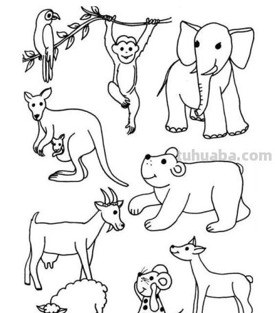 够你画10年了！2000个动物简笔画线稿，收藏备用 - 图画吧TUHUABA