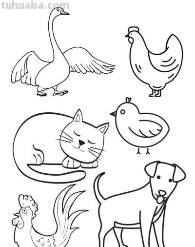够你画10年了！2000个动物简笔画线稿，收藏备用 - 图画吧TUHUABA