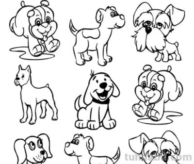 够你画10年了！2000个动物简笔画线稿，收藏备用 - 图画吧TUHUABA