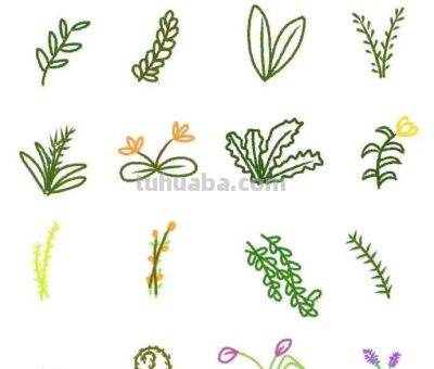 一些植物简笔画，清新可爱，点赞转发收藏。 - 图画吧TUHUABA