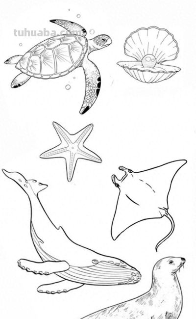 够你画一个月了！50个海洋动物简笔画线稿 - 今日头条