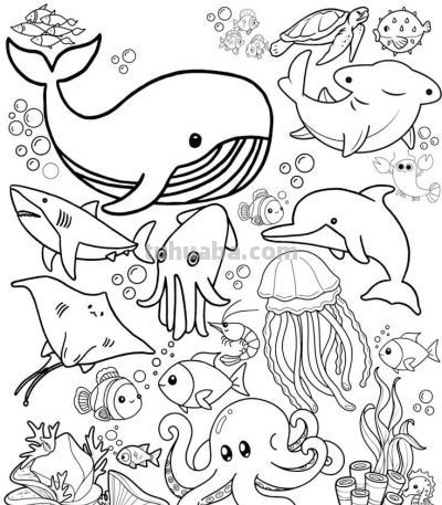 够你画一个月了！50个海洋动物简笔画线稿 - 图画吧TUHUABA