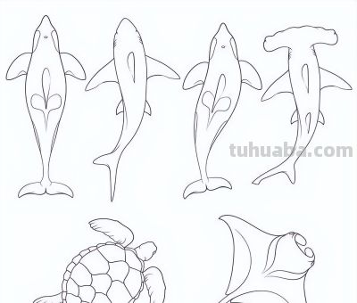 够你画一个月了！50个海洋动物简笔画线稿 - 图画吧TUHUABA