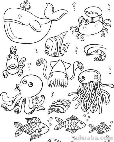够你画一个月了！50个海洋动物简笔画线稿 - 图画吧TUHUABA