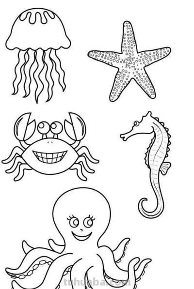 够你画一个月了！50个海洋动物简笔画线稿 - 图画吧TUHUABA