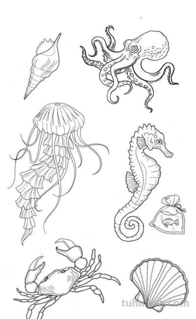 够你画一个月了！50个海洋动物简笔画线稿 - 图画吧TUHUABA