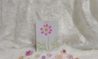 17 波斯菊（绘画 水彩 果花甘06） - 今日头条