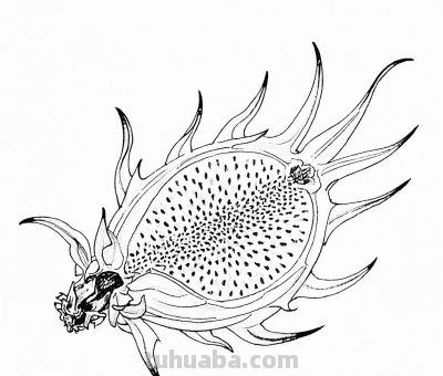 “画说”一百张素描速写手绘作品10天内画完，究竟咋做到？ - 图画吧TUHUABA