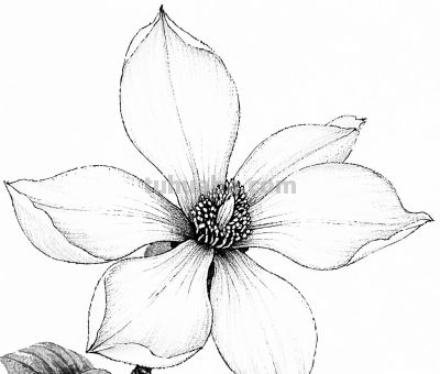 “画说”一百张素描速写手绘作品10天内画完，究竟咋做到？ - 图画吧TUHUABA