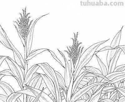 “画说”一百张素描速写手绘作品10天内画完，究竟咋做到？ - 图画吧TUHUABA