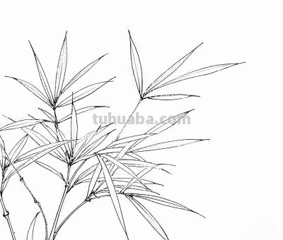 “画说”一百张素描速写手绘作品10天内画完，究竟咋做到？ - 图画吧TUHUABA