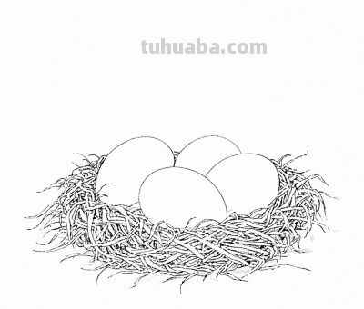 “画说”一百张素描速写手绘作品10天内画完，究竟咋做到？ - 图画吧TUHUABA