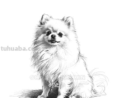 “画说”一百张素描速写手绘作品10天内画完，究竟咋做到？ - 图画吧TUHUABA