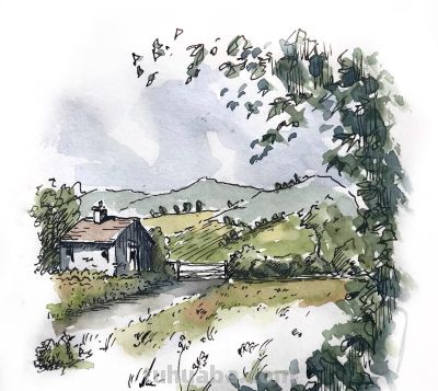 摄影师画的钢笔水彩风景，表现力超强！他用手绘打败了相机 - 图画吧TUHUABA