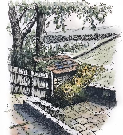 摄影师画的钢笔水彩风景，表现力超强！他用手绘打败了相机 - 图画吧TUHUABA