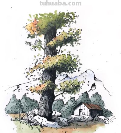 摄影师画的钢笔水彩风景，表现力超强！他用手绘打败了相机 - 图画吧TUHUABA