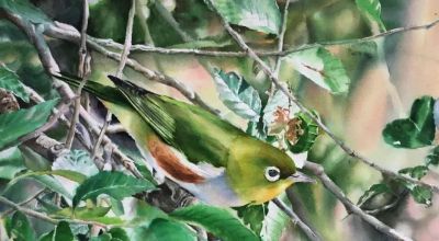 水韵黔彩· 贵州水彩线上作品展 - 今日头条 水韵黔彩· 贵州水彩线上作品展 - 图画吧TUHUABA