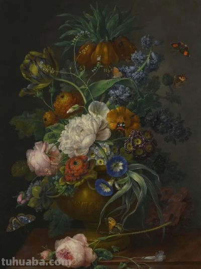 静物花卉,约翰·巴蒂斯特·德雷克斯勒作品赏 - 今日头条 静物花卉,约翰·巴蒂斯特·德雷克斯勒作品赏 - 图画吧TUHUABA