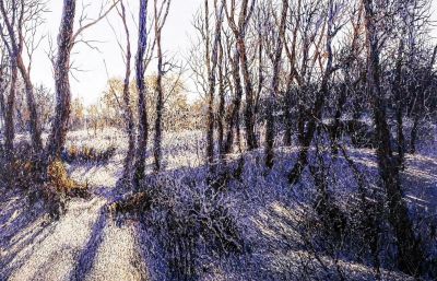 朦胧静谧唯美意境油画作品欣赏 - 图画吧TUHUABA