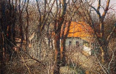 朦胧静谧唯美意境油画作品欣赏 - 图画吧TUHUABA