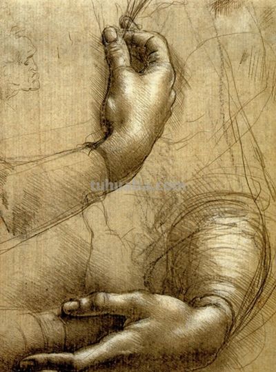 达芬奇素描经典 - 今日头条 达芬奇素描经典 - 图画吧TUHUABA