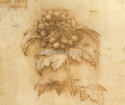 达芬奇素描经典 - 今日头条 达芬奇素描经典 - 图画吧TUHUABA
