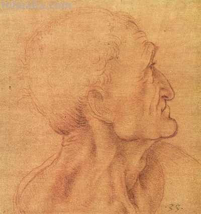 达芬奇素描经典 - 今日头条 达芬奇素描经典 - 图画吧TUHUABA